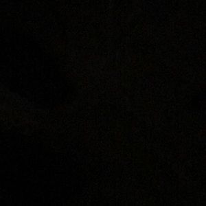 Meet your Posher, Vincent